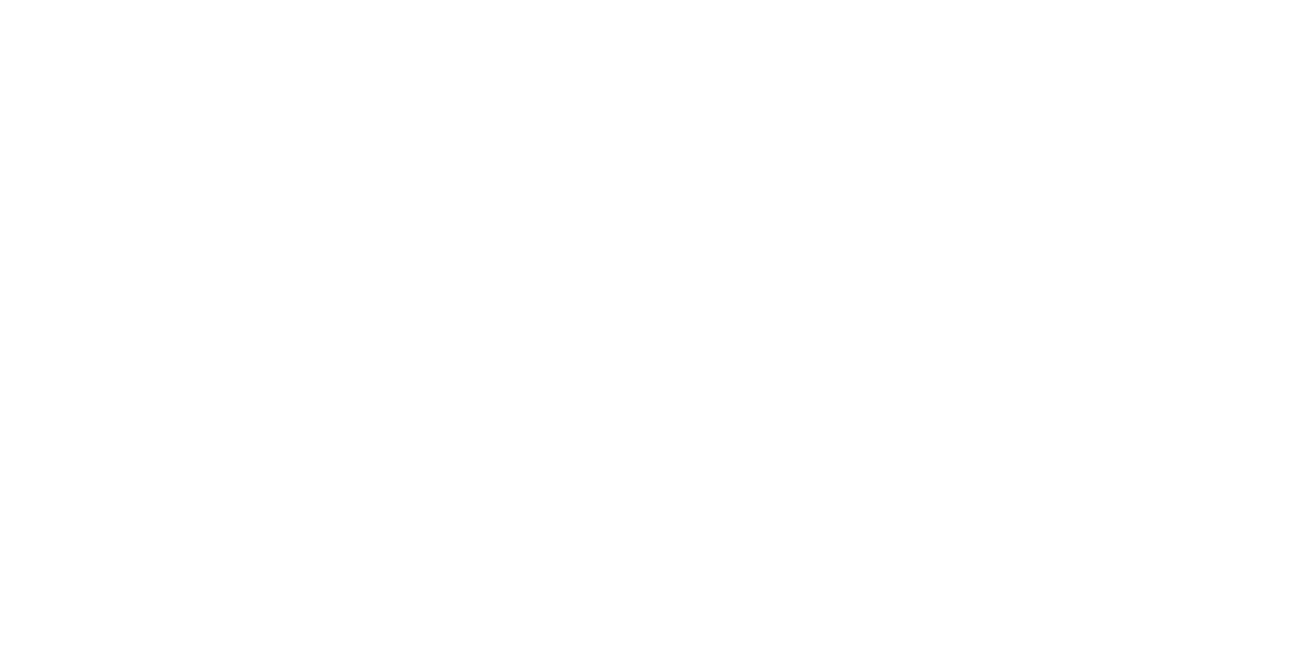NoBS Coaching logo